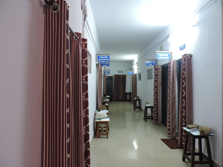 Field specimens exhibited along the corridor